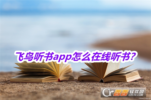 wB(nio) (tng)(sh)app°M(fi)d2025