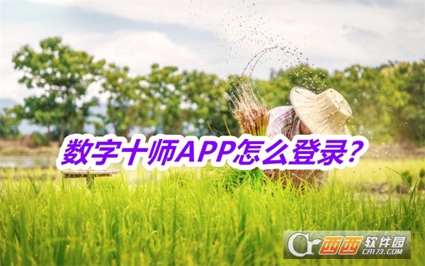 (sh)ʮAPP׿ʽd