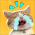 ��ͼ������app����v1.0.0