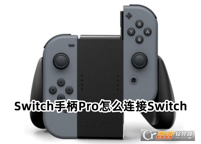 SwitchֱProI(y)appdٷ