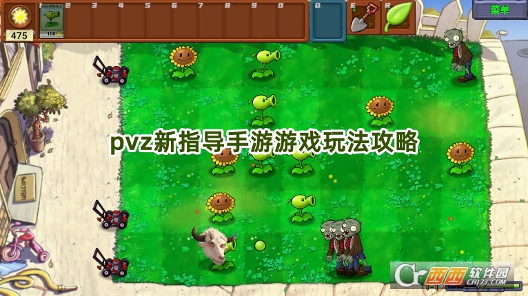 pvzָ(do)d2025°