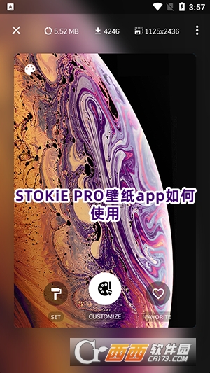 STOKiE PROڼappٷd