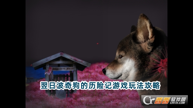 翌日波奇狗的历险记中文版下载安卓版 翌日波奇狗的历险记中文版下载安卓版