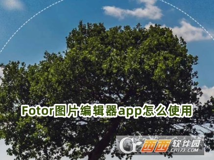 Fotor图片编辑器最新版下载官方版