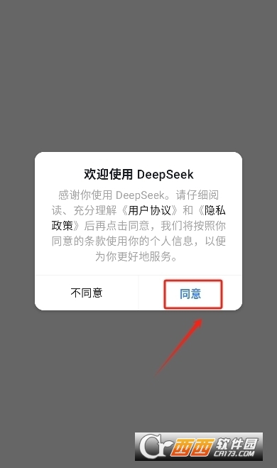 DeepSeekR10528汾dٷ v1.2.2׿