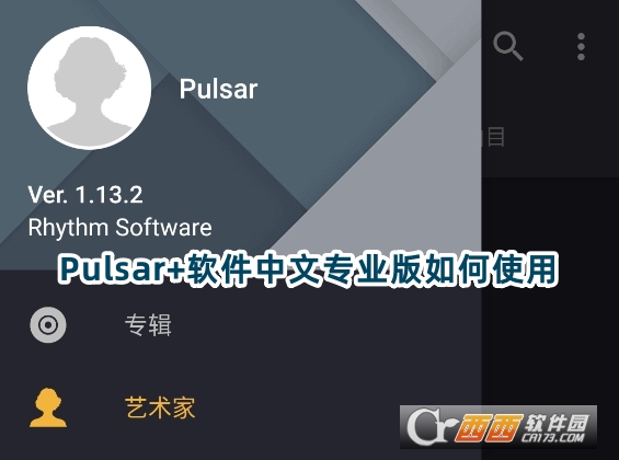 Pulsar 软件中文专业版apk下载官方版 Pulsar 软件中文专业版apk下载官方版