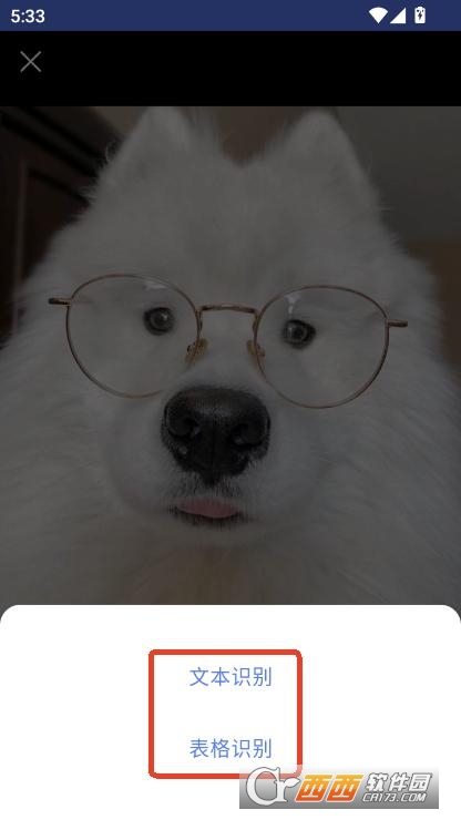 扫描全能CSapp安卓版免费下载 v1.0.0最新版