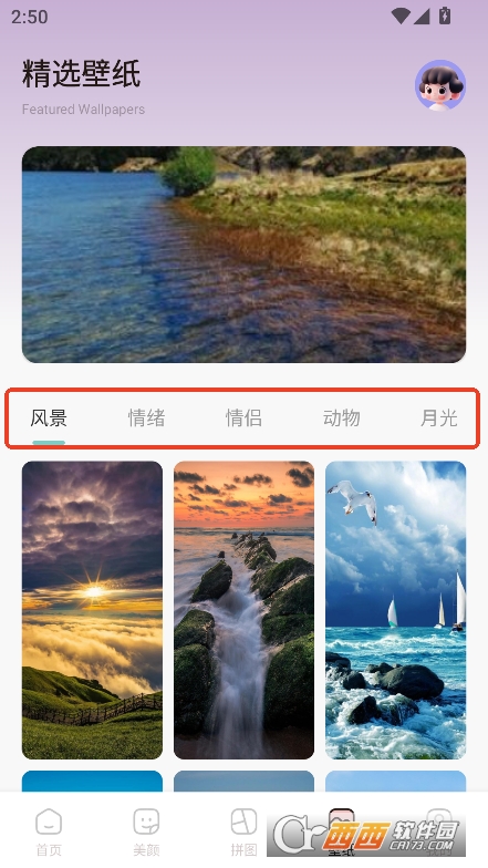 moliQC(j)app׿d v1.1°