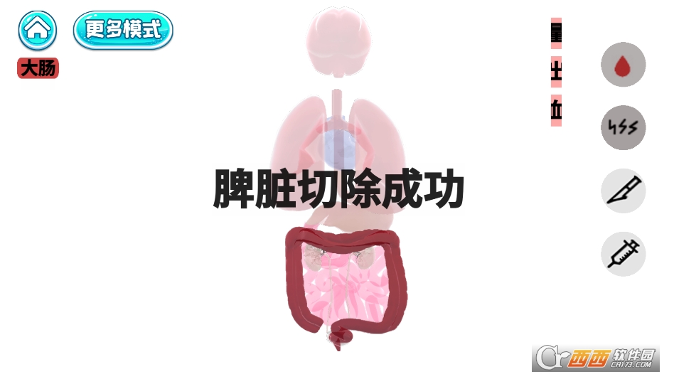 人体细胞模拟器官方下载