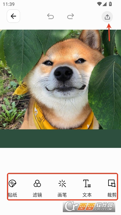 magic相机app安卓版下载 magic相机app安卓版下载