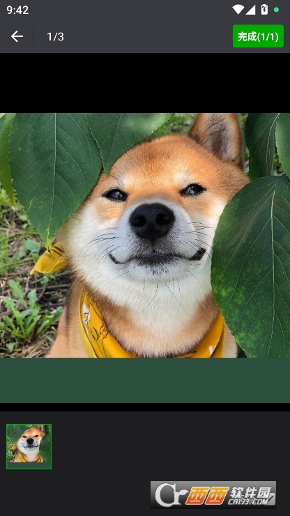 小蓝去水印app官方正式版下载 小蓝去水印app官方正式版下载