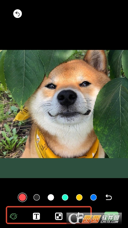 小蓝去水印app官方正式版下载 小蓝去水印app官方正式版下载