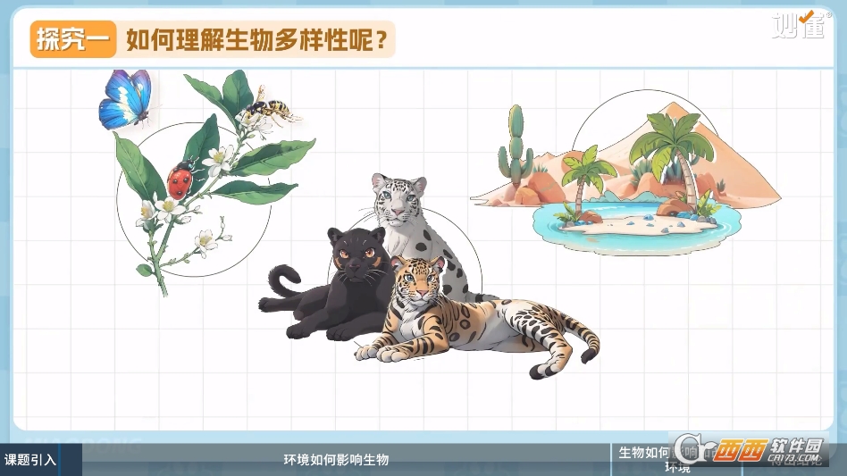 妙懂生物最新版本 v1.5.1