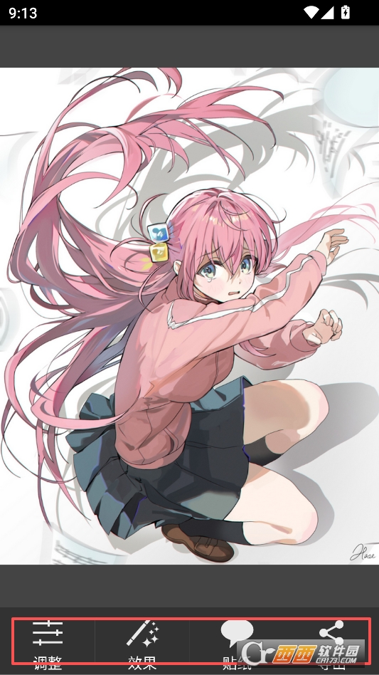 picsaypro完美汉化版下载 v2.3.3.1