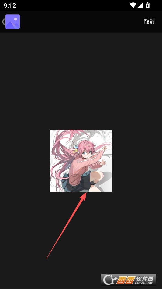 picsaypro完美汉化版下载 v2.3.3.1