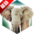 ���۶���԰�ֻ����İ�v1.0.4