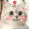 ����繤app����2025���°�ͼ��