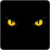 ��ҹ����app�ٷ��������°�ͼ��