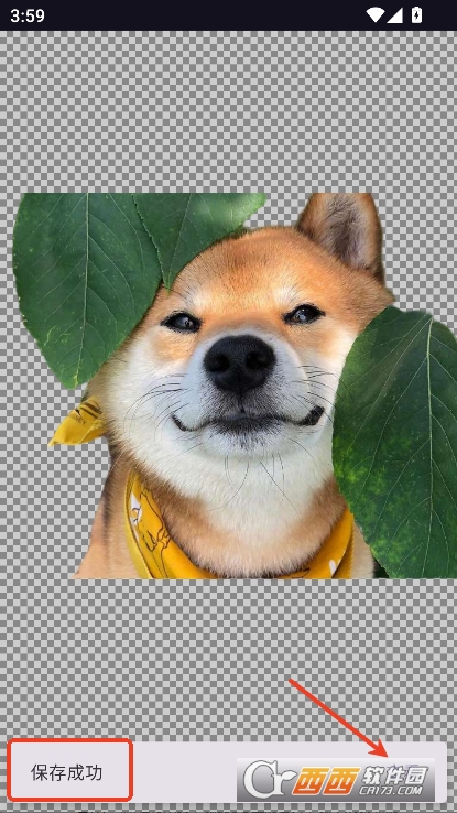 熊.猫去水印下载app安卓版官方下载 熊.猫去水印下载app安卓版官方下载