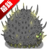 ���Ů���������İ�v1.0