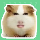 猪妞语音盒安卓版v1.0