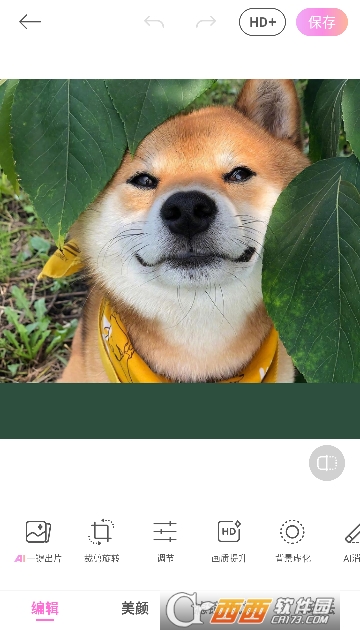 �������app���°�2026