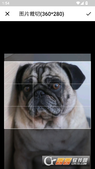主题键盘皮肤app2026最新版本 主题键盘皮肤app2026最新版本