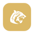 С����������app�ٷ���v3.1��׿��