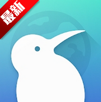 Kiwi Browser�������׿��v139.0.7339.0���°�