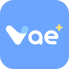vae+2026�ٷ�����