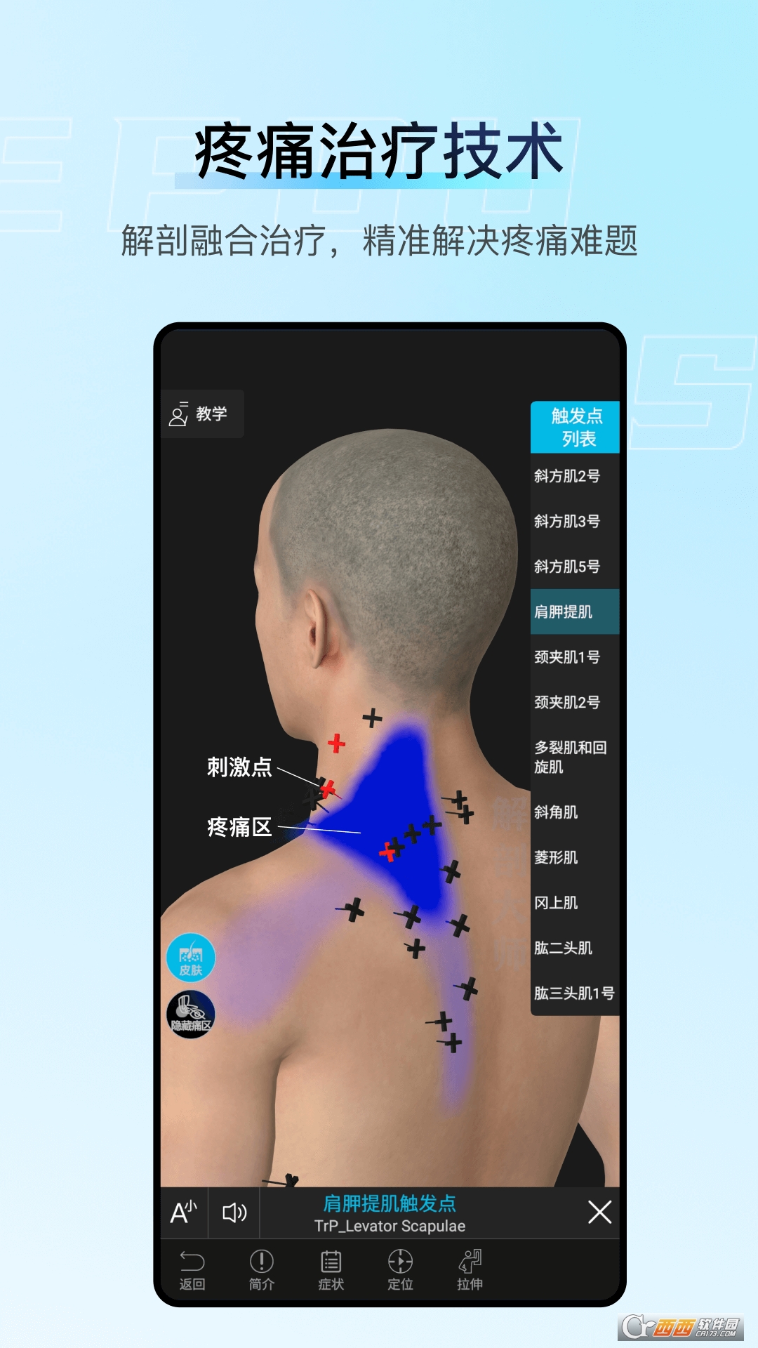 解剖大师免费版 v5.2.2