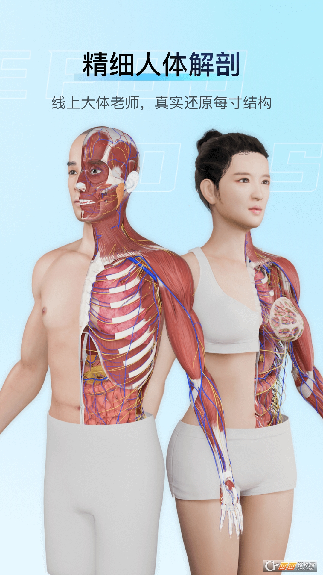 解剖大师免费版 v5.2.2