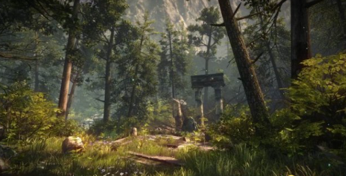 森林 pc版 森林 pc版