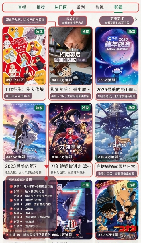 pilibro第三方b站客户端 pilibro第三方b站客户端