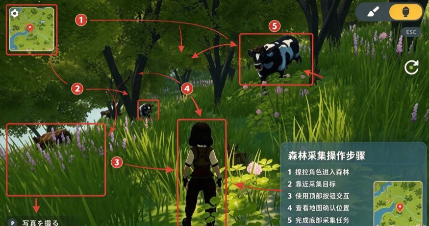 温馨国度steam版手机移植 温馨国度steam版手机移植