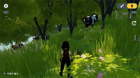 温馨国度steam版手机移植 温馨国度steam版手机移植