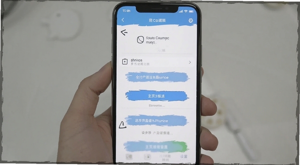 OC浏览器极速版 主页设置操作界面 手机屏幕显示设置菜单与主页输入框 背景简洁 突出操作步骤 适合问答配图
