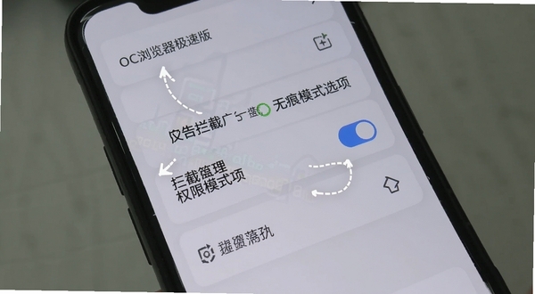 OC浏览器极速版 设置界面与权限管理 手机屏幕显示广告拦截开关与无痕模式选项 背景为浅灰色 突出功能设置项 适合教程配图
