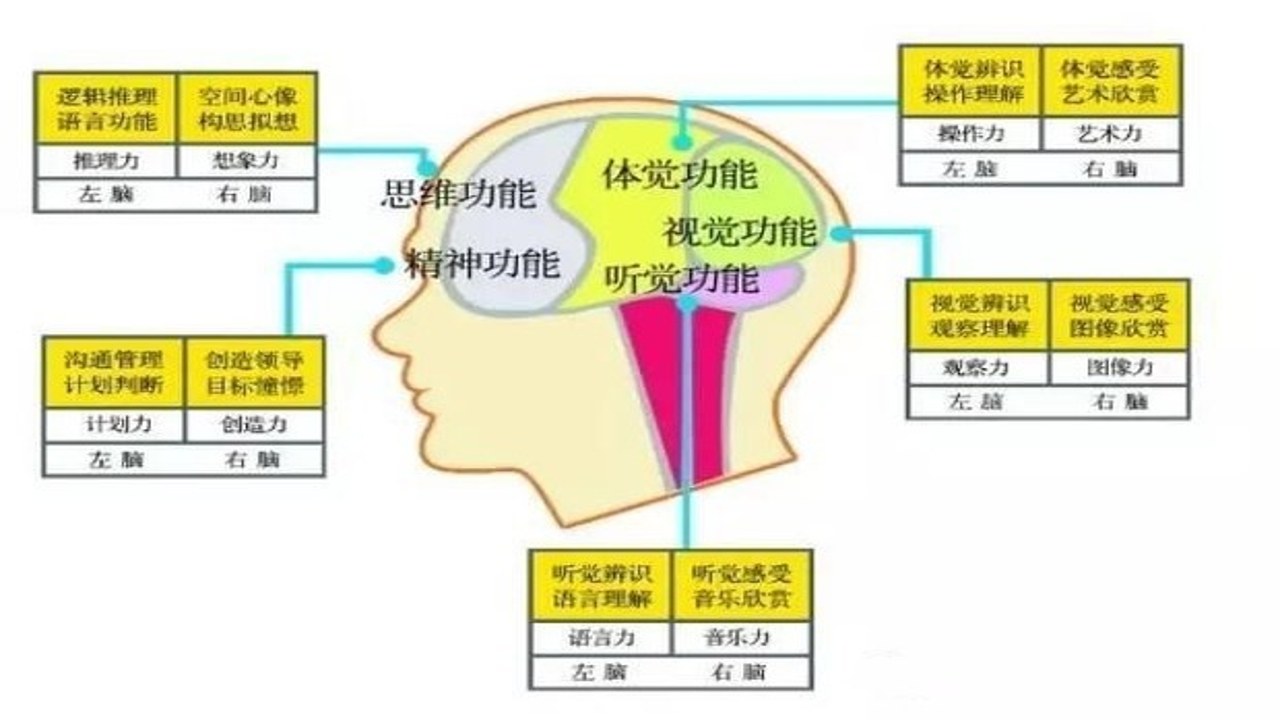 记忆力训练 大脑专注力 科学方法 记忆技巧 图解