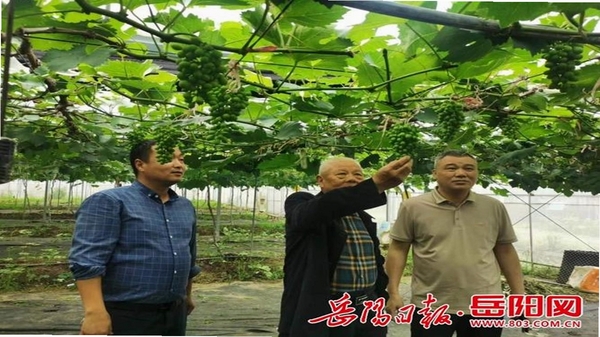��Ұ�Ƽ� ����