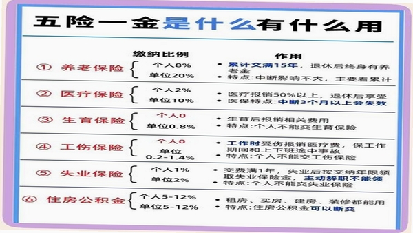 �ֻ��籣��������� ����һ����ɱ�����
