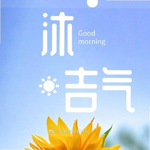 吉气崽运行截图