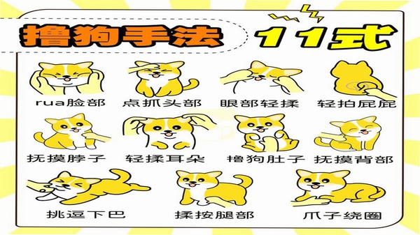 巴达狗 使用技巧