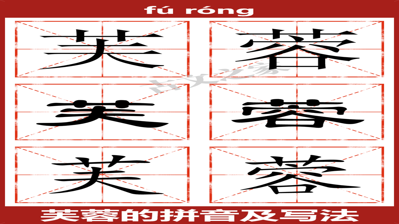 芙蓉成语大全及拼音释义概览