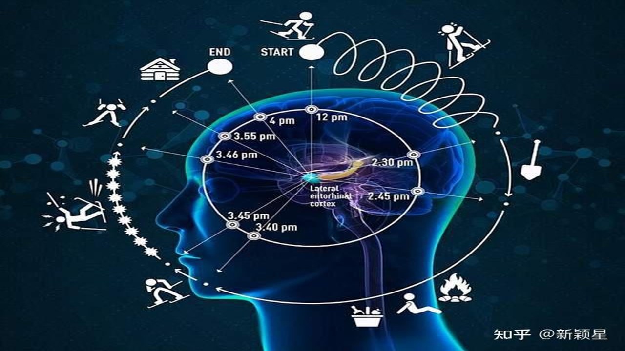 记忆力训练方法大全图解,涵盖睡眠、运动、记忆宫殿等核心技巧