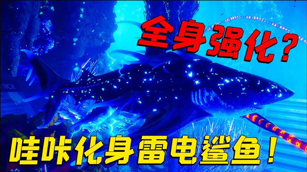 闪电鲨 牙齿结构 捕食策略 侧面突袭 高清图片