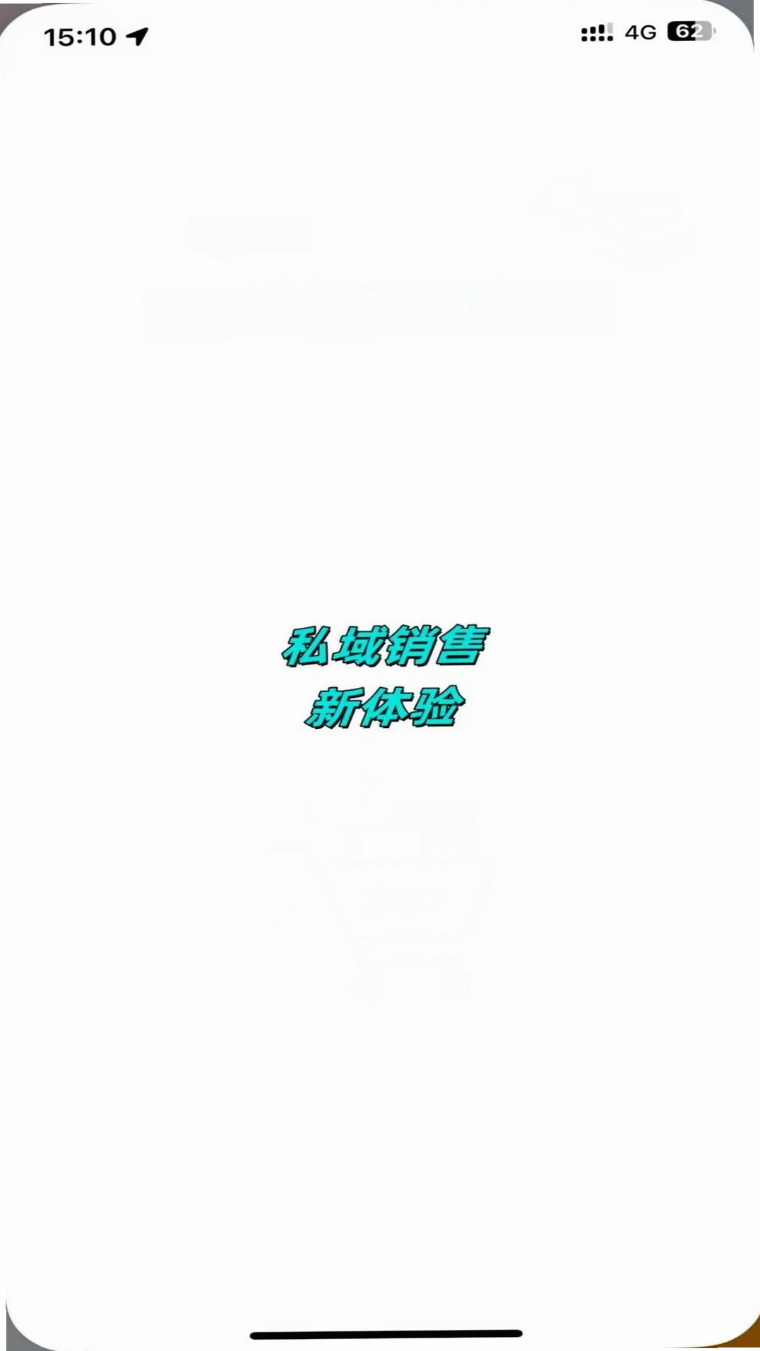 碎银私域运行截图