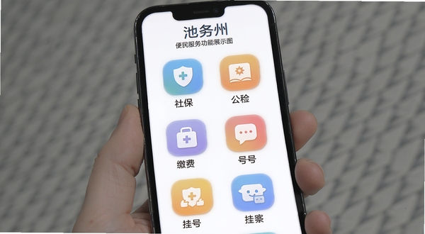 我的池州 便民服务功能展示图 手机屏幕中显示社保 公积金 缴费 挂号等图标排列整齐 背景为白色 图标采用圆角设计 色彩柔和 体现便捷高效的服务理念