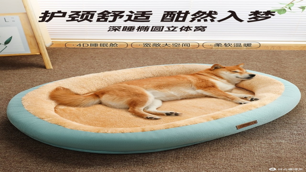 PetPandora宠物社区 新手必备用品清单与环境安全布置实拍