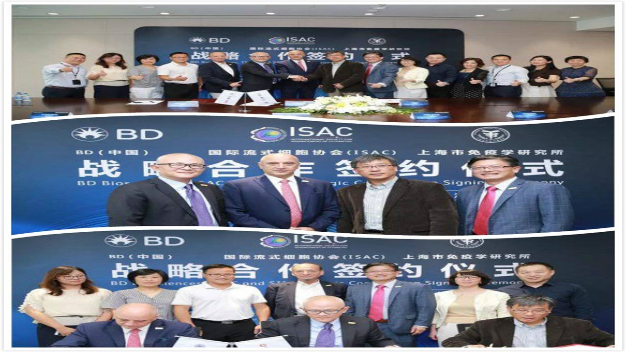 BD盟2024最新政策与成员准入标准